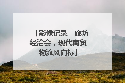 影像记录｜廊坊经洽会，现代商贸物流风向标