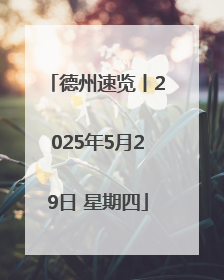 德州速览丨2025年5月29日 星期四