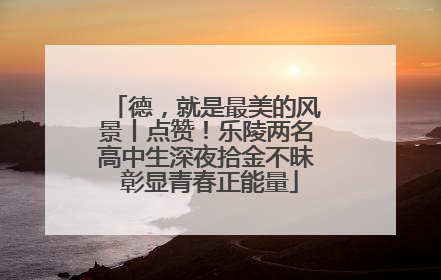 德，就是最美的风景丨点赞！乐陵两名高中生深夜拾金不昧 彰显青春正能量