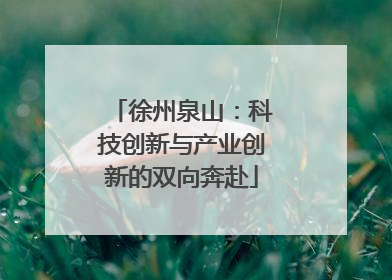 徐州泉山：科技创新与产业创新的双向奔赴