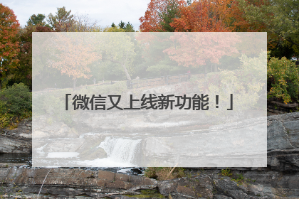 微信又上线新功能！