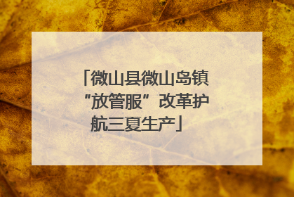 微山县微山岛镇“放管服”改革护航三夏生产