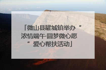 微山县驩城镇举办“浓情端午·圆梦微心愿”爱心帮扶活动