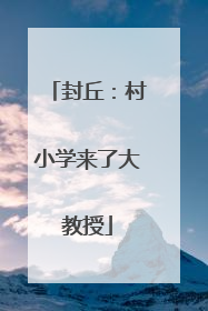 封丘：村小学来了大教授