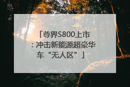 尊界S800上市：冲击新能源超豪华车“无人区”