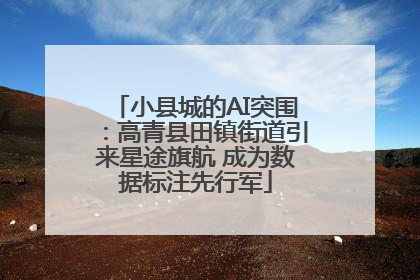 小县城的AI突围：高青县田镇街道引来星途旗航 成为数据标注先行军
