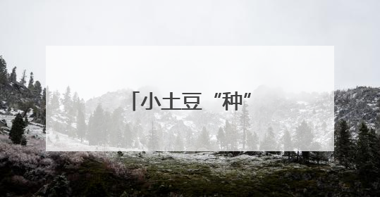 小土豆“种”出共富新图景