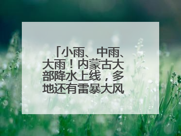 小雨、中雨、大雨！内蒙古大部降水上线，多地还有雷暴大风或冰雹天气
