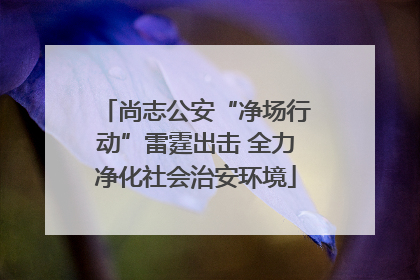 尚志公安“净场行动”雷霆出击 全力净化社会治安环境