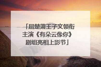 屈楚萧王子文领衔主演《有朵云像你》剧组亮相上影节