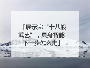 展示完“十八般武艺”，具身智能下一步怎么走