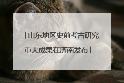 山东地区史前考古研究重大成果在济南发布