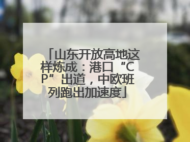 山东开放高地这样炼成：港口“CP”出道，中欧班列跑出加速度