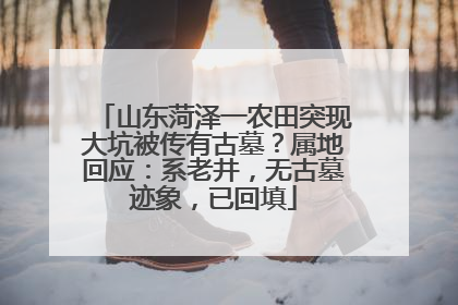 山东菏泽一农田突现大坑被传有古墓？属地回应：系老井，无古墓迹象，已回填