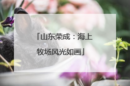 山东荣成：海上牧场风光如画