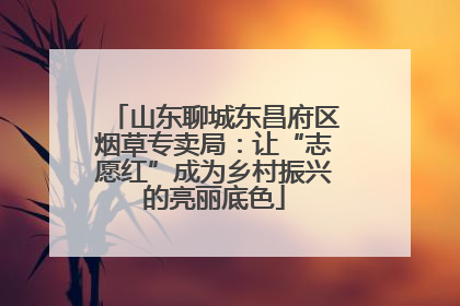 山东聊城东昌府区烟草专卖局：让“志愿红”成为乡村振兴的亮丽底色