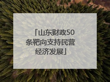 山东财政50条靶向支持民营经济发展