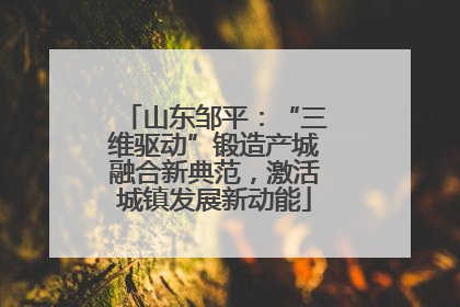 山东邹平：“三维驱动”锻造产城融合新典范，激活城镇发展新动能