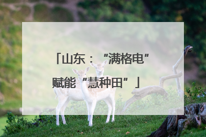 山东：“满格电”赋能“慧种田”