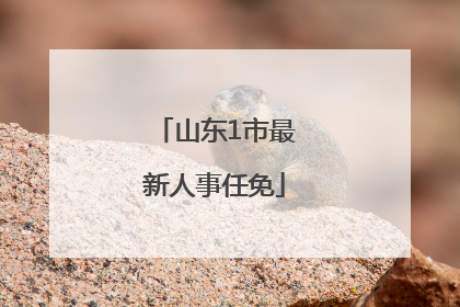 山东1市最新人事任免