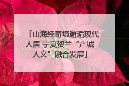 山海经奇境邂逅现代人居 宁夏贺兰“产城人文”融合发展