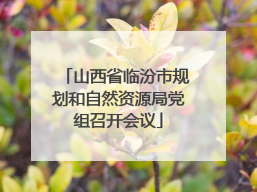 山西省临汾市规划和自然资源局党组召开会议