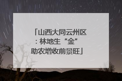 山西大同云州区：林地生“金” 助农增收前景旺