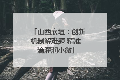 山西襄垣：创新机制解难题 精准滴灌润小微