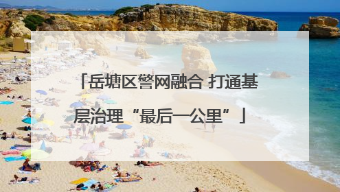 岳塘区警网融合 打通基层治理“最后一公里”
