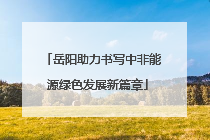 岳阳助力书写中非能源绿色发展新篇章