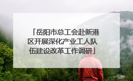 岳阳市总工会赴新港区开展深化产业工人队伍建设改革工作调研