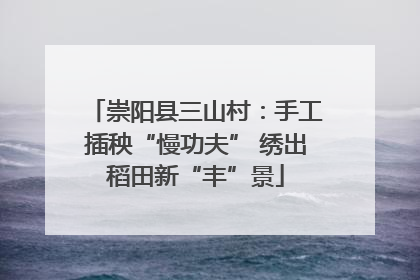 崇阳县三山村：手工插秧“慢功夫” 绣出稻田新“丰”景