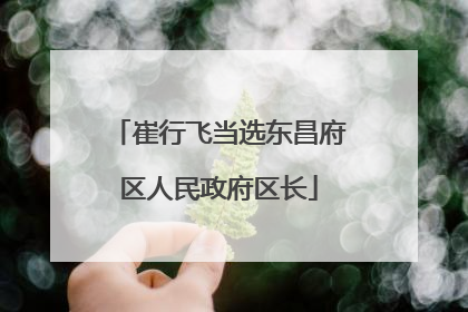 崔行飞当选东昌府区人民政府区长