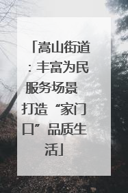 嵩山街道：丰富为民服务场景 打造“家门口”品质生活