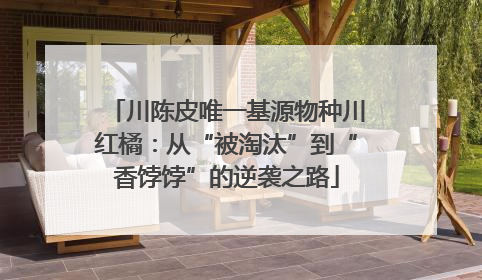 川陈皮唯一基源物种川红橘：从“被淘汰”到“香饽饽”的逆袭之路