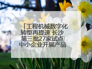 工程机械数字化转型再提速 长沙第三批27家试点中小企业开展产品供需对接