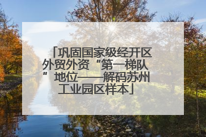 巩固国家级经开区外贸外资“第一梯队”地位——解码苏州工业园区样本