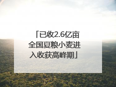 已收2.6亿亩 全国夏粮小麦进入收获高峰期