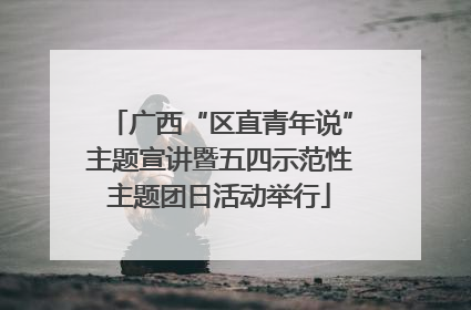 广西“区直青年说”主题宣讲暨五四示范性主题团日活动举行