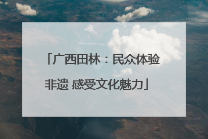 广西田林：民众体验非遗 感受文化魅力
