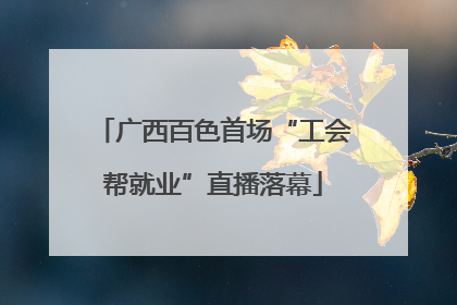广西百色首场“工会帮就业”直播落幕