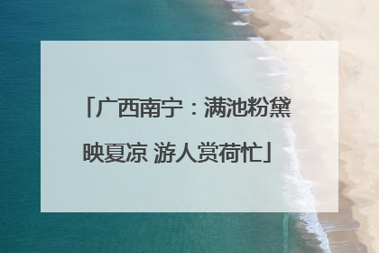 广西南宁：满池粉黛映夏凉 游人赏荷忙