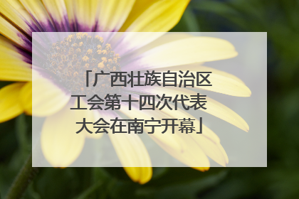 广西壮族自治区工会第十四次代表大会在南宁开幕
