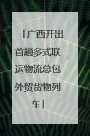广西开出首趟多式联运物流总包外贸货物列车