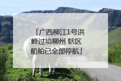 广西柳江1号洪峰过境柳州 辖区船舶已全部停航
