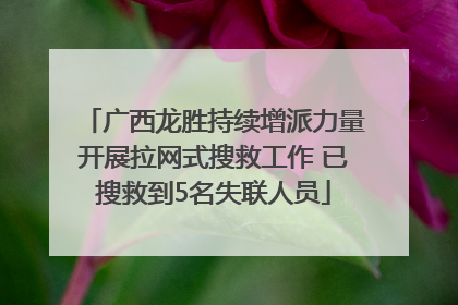 广西龙胜持续增派力量开展拉网式搜救工作 已搜救到5名失联人员