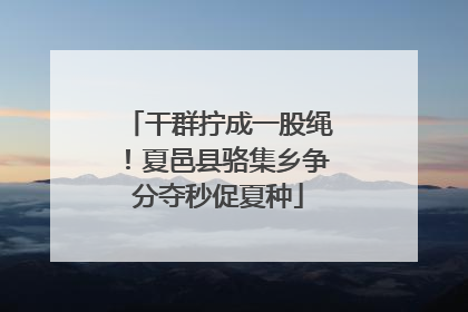 干群拧成一股绳！夏邑县骆集乡争分夺秒促夏种