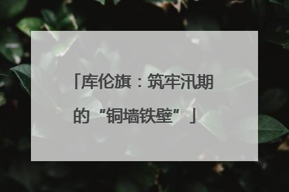 库伦旗：筑牢汛期的“铜墙铁壁”