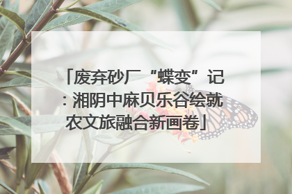 废弃砂厂“蝶变”记：湘阴中麻贝乐谷绘就农文旅融合新画卷