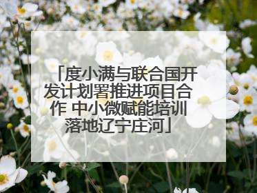 度小满与联合国开发计划署推进项目合作 中小微赋能培训落地辽宁庄河